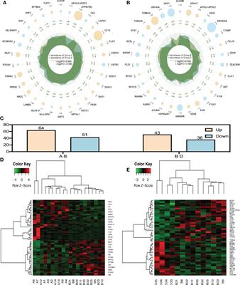 Label-free LC-MS/MS proteomics analyses reveal CLIC1 as a predictive biomarker for bladder cancer staging and prognosis